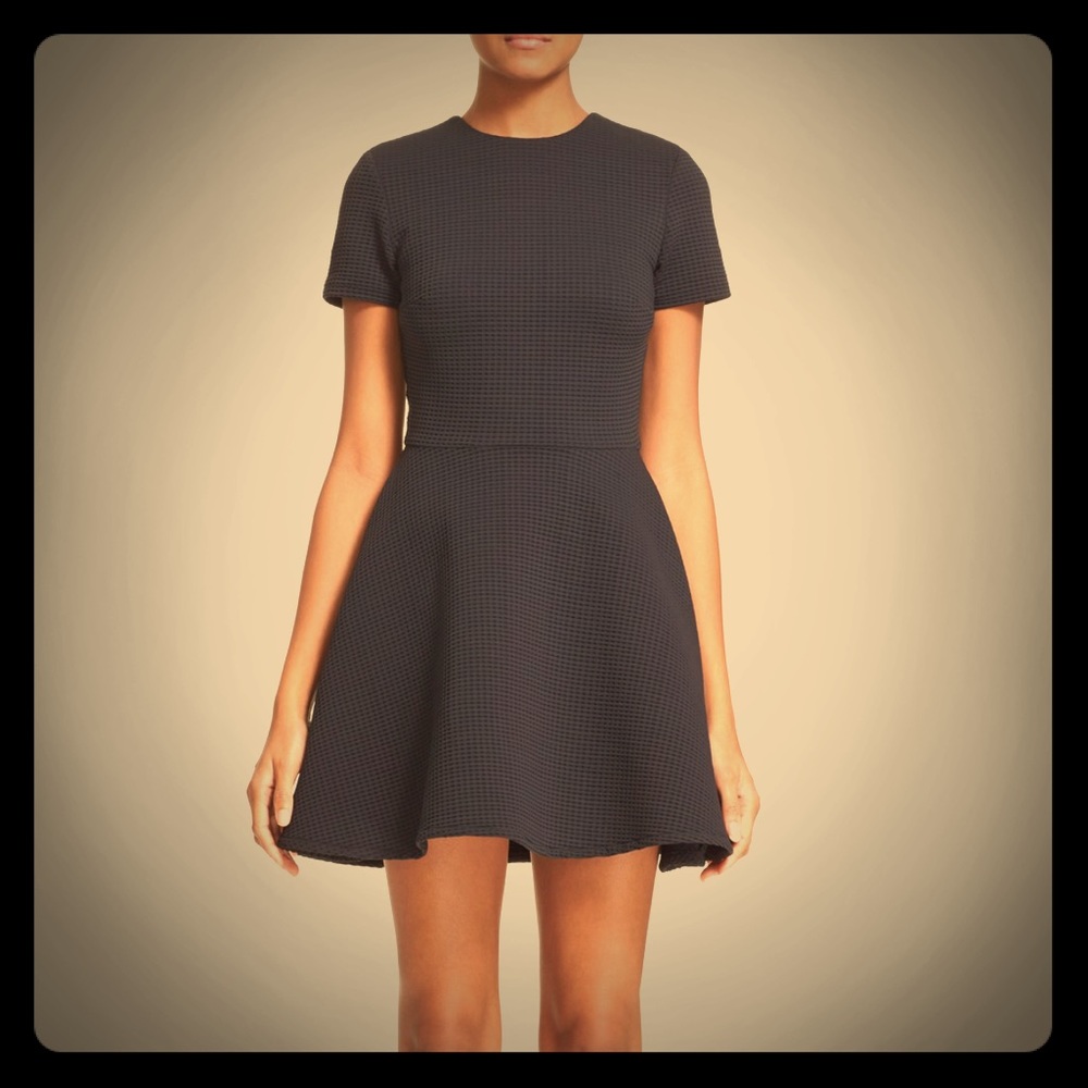 Opening ceremony clos fit and flare dress.